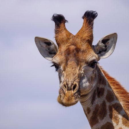 Nkomazi Game Reserve By Newmark บาดพลาส ภายนอก รูปภาพ