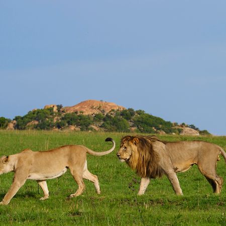 Nkomazi Game Reserve By Newmark บาดพลาส ภายนอก รูปภาพ