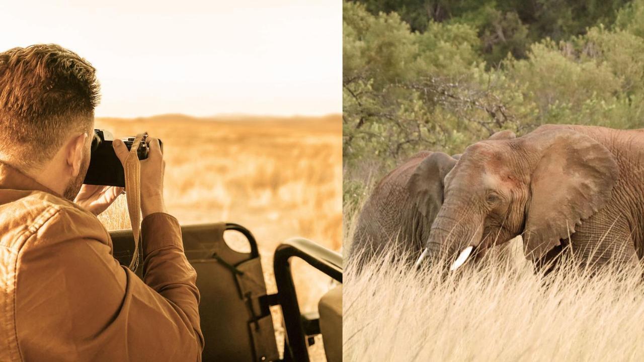 Nkomazi Game Reserve By Newmark บาดพลาส ภายนอก รูปภาพ