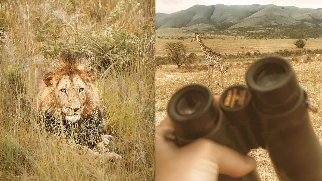 Nkomazi Game Reserve By Newmark บาดพลาส ภายนอก รูปภาพ