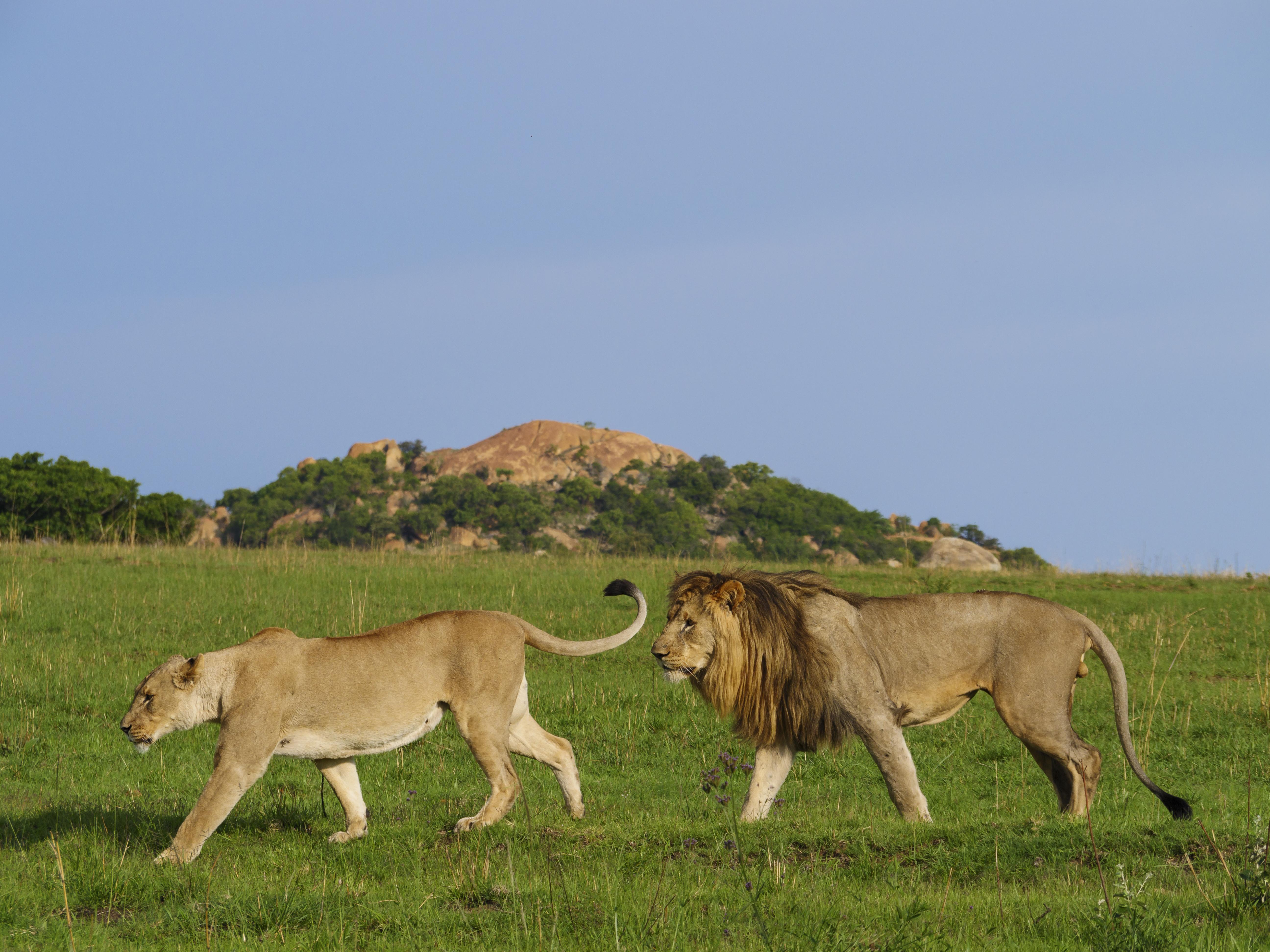 Nkomazi Game Reserve By Newmark บาดพลาส ภายนอก รูปภาพ